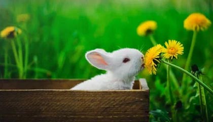 星空-辛普森18+6赵继伟8分6助 宁波队史首胜辽宁